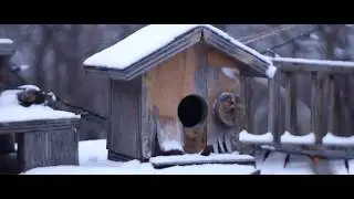 Lumix Gh1 Video test #3 cctv 35mm 1.7