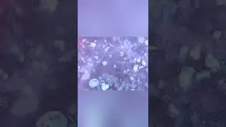 Lunar or Martian meteorite!Experts on meteorites suggest.The beauty of the minerals is amazing