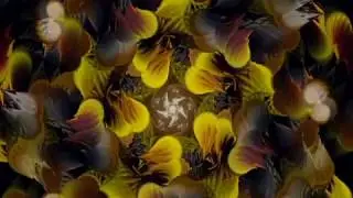 Fun With Fractals