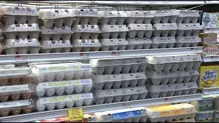 Egg prices surge as bird flu continues to impact supply