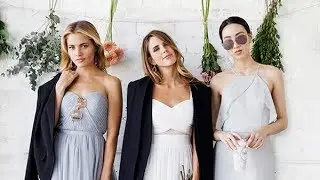 Welcome To Birdy Grey