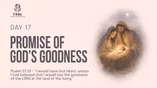 The Promise of God's Goodness I Promise Fast Day 17 I Apostle Daniel Adams