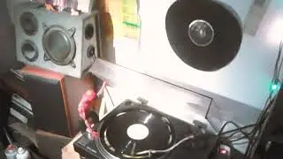 BIONIC STEVE - Rude boy - Tempo riddim - Soundclash weapon