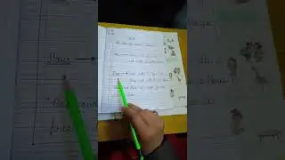 Ch 12 - The Use of HAS and HAVE ( GRAMMAR - STD 1)