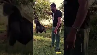 how to clone and edit magic trick transition 🎥🎞📽🎬📹👇👇👇✨️  #shorts #viral #youtubeshorts