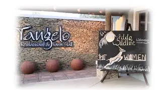 OUR SPRINGBOK WOMEN'S TEAM VISIT ADDO WILDLIFE FOR A GAME DRIVE AND BUFFET LUNCH