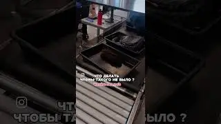 Сделать хорошую пересадку волос! Про минусы системы волос рассказали в комментариях