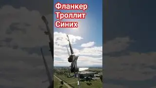 самый наглый  - вот это поворот! #dcs #flanker