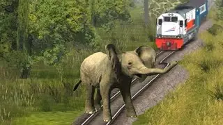 Train Patri Elephant Dance | train elephant video