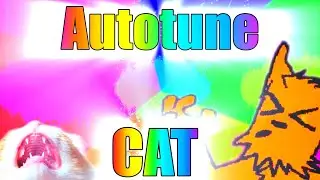 AUTOTUNE CAT