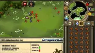 Runedream autofighter! spider killer! runescape botting is back!
