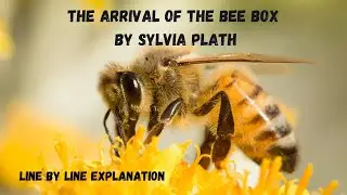 The Arrival of the Bee Box By Sylvia Plath | Poem| American Literature| BS English