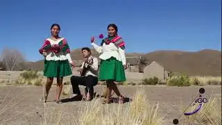 FERIA en CHARANGO | Arreglos  e interpretación por JULIO PEÑALOZA - HOMENAJE A ALFREDO DOMINGUEZ