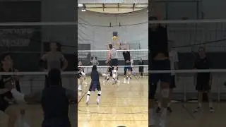 Taylor Averill showing why he is the best Middle Blocker in the World
