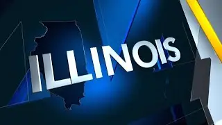 2024 Illinois Primary Election results