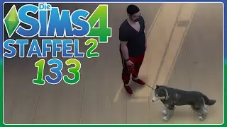 Ein toller Spaziergang (nicht) 🦮 Die SIMS 4 [Staffel 2] #133