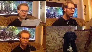 Misty Mountains Cold Choir Project with Dog