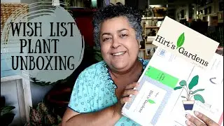 Hirts Gardens Wishlist Plant Unboxing | Houseplant Unboxing