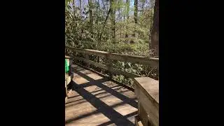 Hiking in sandy hook Kentucky