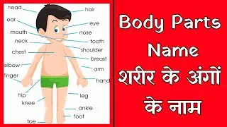 Human body parts name in hindi & english | Part- 1 | शरीर के अंगों के नाम हिंदी और इंग्लिश में