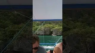 #reelsserieswithalex#wow #alex #diving #swimming