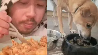 ASMR EATING SOUNDS - PASTA & DOG FOOD | BUBBLE WHISPERS FT.  @bobbythewhipador5678