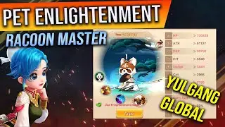 Pet Enlightenment: Raccoon Master - Yulgang Global
