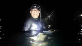 Night dive: catch and Cook spearfishing...