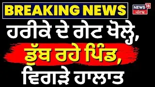 Harike Headworks Flood Gates | ਹਰੀਕੇ ਦੇ ਗੇਟ Open, ਡੁੱਬ ਰਹੇ ਪਿੰਡ, ਵਿਗੜੇ ਹਾਲਾਤ | Punjab Floods Update