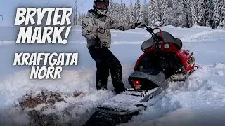 BRYTER MARK PÅ HEMMAPLAN| STOFFES ARCTIC FÅR JOBBA LITE