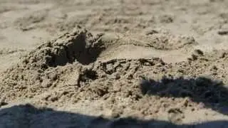Slow-Motion Sand Stomp