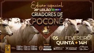 28º  Leilão Digital CRIADORES DE POCONÉ  05 02 2026 14:00 horas.