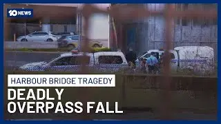 Man And Woman Die After Fall From Overpass Near Sydney Harbour Bridge | 10 News