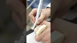 Critical Advice for Young Dentists