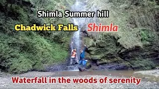 Chadwick waterfall shimla | Hidden beauty inside deep forest | Chadwick Falls shimla
