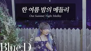 🌙한 여름 밤의 메들리🎵 (One Summer Night Medley) (Cover by. Blue.D)