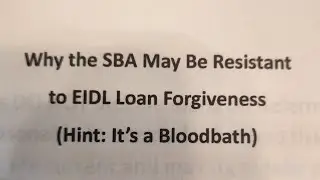 Why the SBA may be resistant to EIDL loan Forgiveness (Hint: it's a Bloodbath for them already)