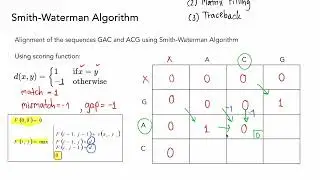 Bioinfor EP5. Smith Waterman Algorithm Exercise1