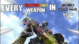 Every Mastercraft Weapon Inspection (Season 1-4) Showcase/Gameplay - Black Ops Cold War/Warzone