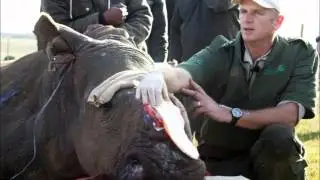 TCU Study Abroad: South Africa
