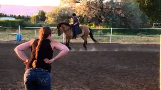 VID00612