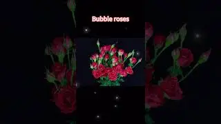 水果泡泡 Fruity Bubbles｜ 荷兰迪瑞特月季 De Ruiter Rose