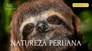 MUNDO SELVAGEM | NATUREZA PERUANA