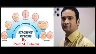 Lecture #3 (Cell Cycle) F.Sc Part-II. MITOSIS A Comprehensive Lecture By Prof.M.Faheem