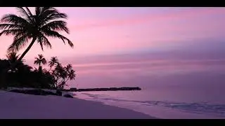 QRENT CORME IN PANAJI BEACH