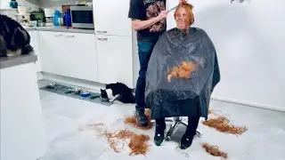 Makeover haircut! A lot of hair on the floor and cats!