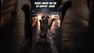 Ek Kutta, Ek Khamba, Aur Ek Zindagi | Tim Tim Silent Hero#kindness