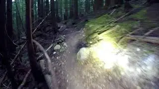 Witches Brew Tight Single Track on KTM690