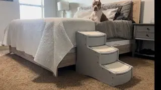 Pet Gear Easy Step Pet Stairs
