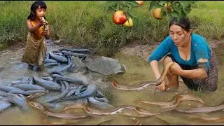 Catch many fish and eel- Crispy fish for delicious- Cooking eel for dinner +5food of survival